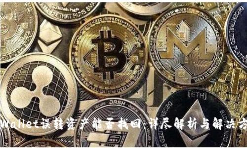 TPWallet误转资产能否找回:详尽解析与解决方案