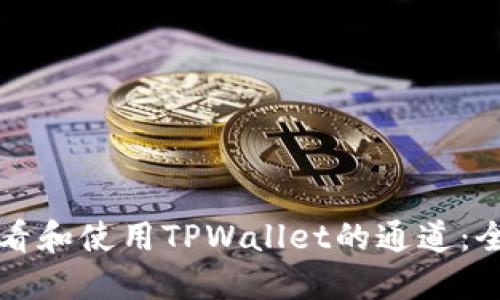如何查看和使用TPWallet的通道:全面指南