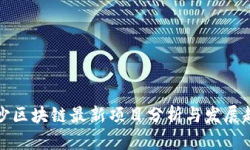 长沙区块链最新项目分析与发展趋势