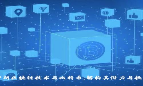 伊朗区块链技术与比特币:解构其潜力与挑战