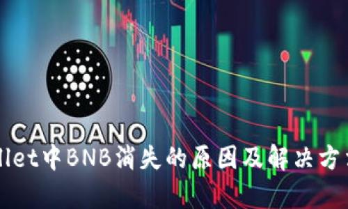 TPWallet中BNB消失的原因及解决方法解析