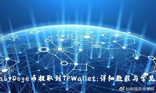 如何将BabyDoge币提取到TPWallet:详细教程与常见问题解答