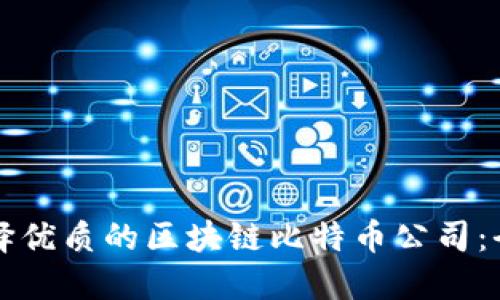 如何选择优质的区块链比特币公司:全面指南