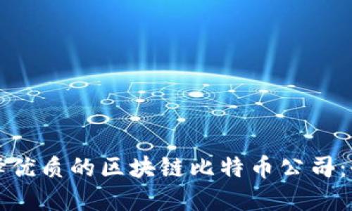 如何选择优质的区块链比特币公司:全面指南