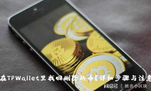 怎么在TPWallet里找回删除的币?详细步骤与注意事项