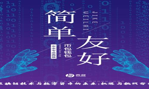 区块链技术与数字货币的未来:机遇与挑战分析