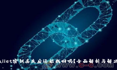 TPWallet密钥丢失后还能找回吗?全面解析与解决方案