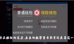 派币区块链的高度：未来的数字货币新星还是昙