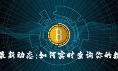 区块链交易最新动态：如何实时查询你的数字资