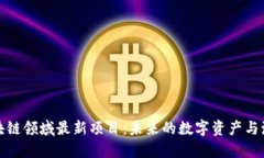 揭秘区块链领域最新项目：未来的数字资产与潮