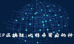 探秘TCP区块链：比特币背后的神秘面纱
