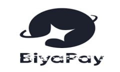 探索真正的区块链币平台：你不可忽视的数字资