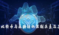 马云揭秘：比特币与区块链的深刻关系及其未来