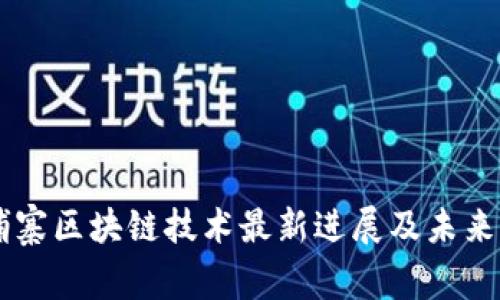 柬埔寨区块链技术最新进展及未来展望